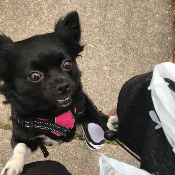 Meet your Posher, Freya EightyEight - Picture 11 of 16